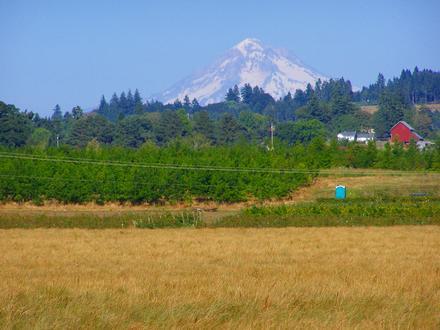 Canby Image