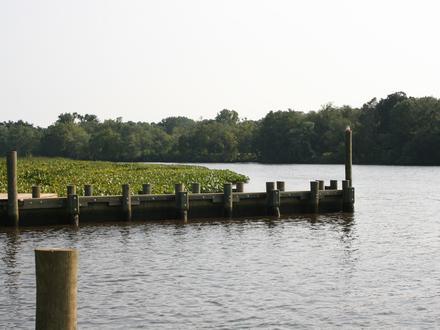 Denton Image