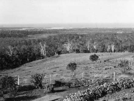 Buderim Image