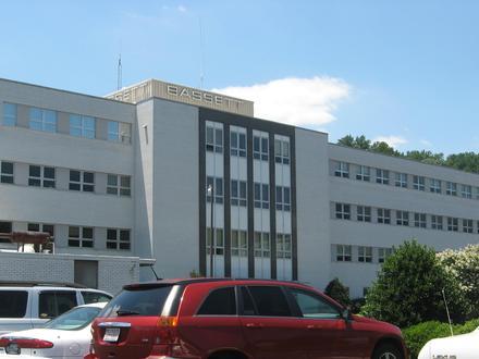 Bassett Image