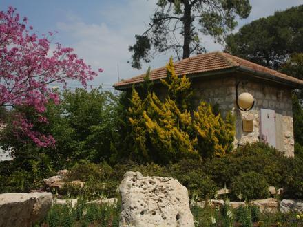 Ma‘anit Image