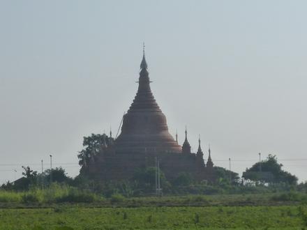 邦芽 Image