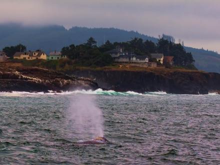 Yachats Image