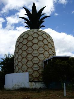 Gympie Image