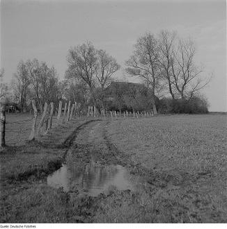 Afbeelding van Rambin
