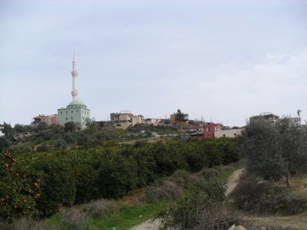 Hebilli Image
