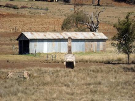 Cambooya Image