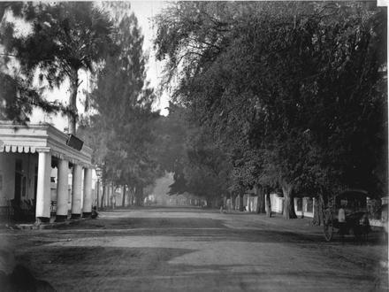 Pasuruan Image