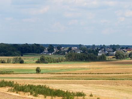 Wola Okrzejska Image