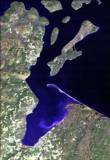 Salmo Image