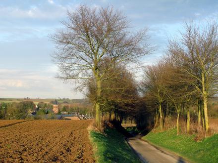 Jeancourt Image