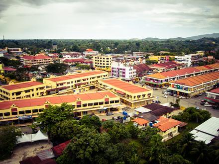 Imej Tuaran