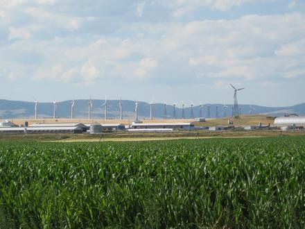 Martinsdale Image