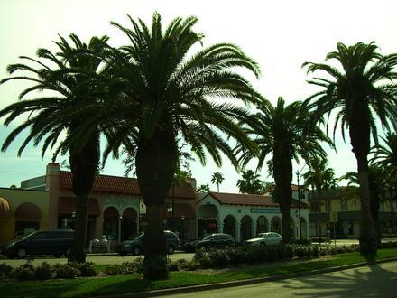 Bild på Venice, Florida