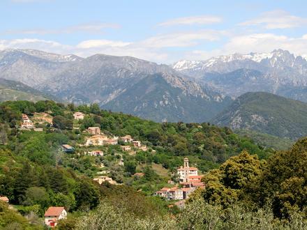 Vico Image