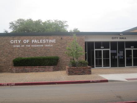Palestine Image