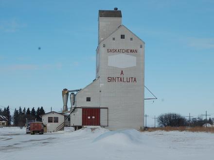 Sintaluta Image