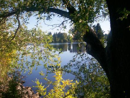 Idaho Falls Image