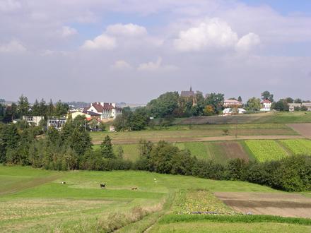 Luborzyca Image