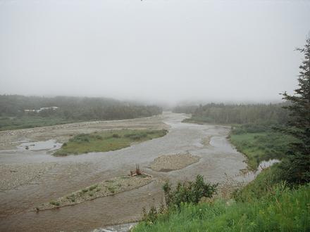 Kippens Image