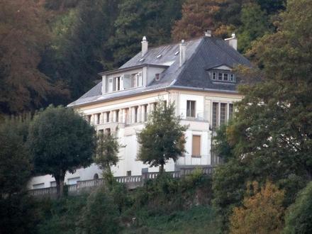 Le Locle Image