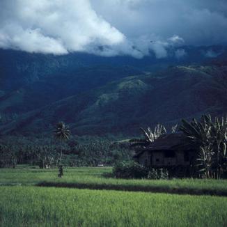 Kota Palu Image