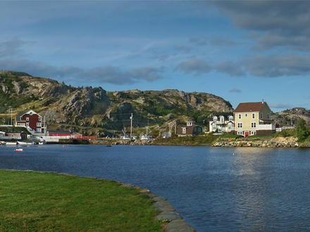 Brigus Image