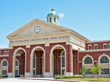 The Woodlands Image