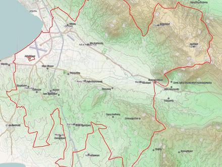 Thermi Image