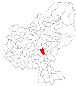 Păsăreni Image