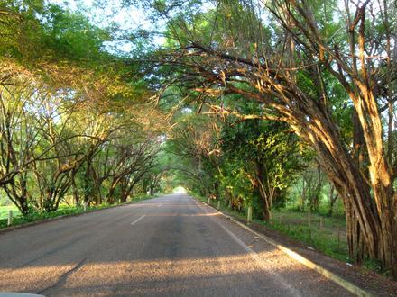 Municipio de Jalapa (Tabasco) Image