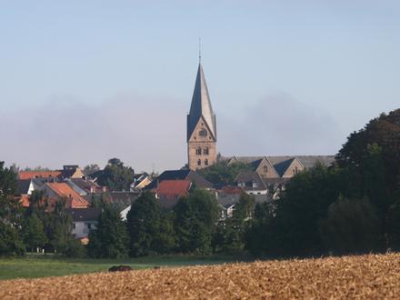 Steinheim Image
