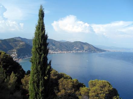 Alassio Image