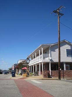 Olive Branch Image