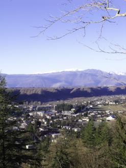 Tsalenjikha Image