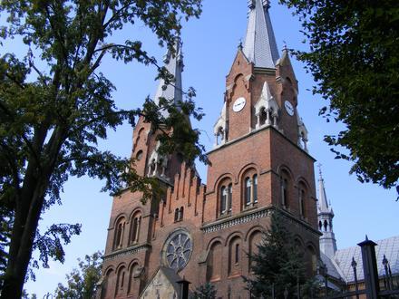 Jedlicze Image