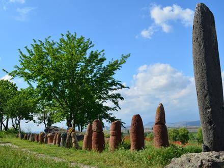 Taronik Image