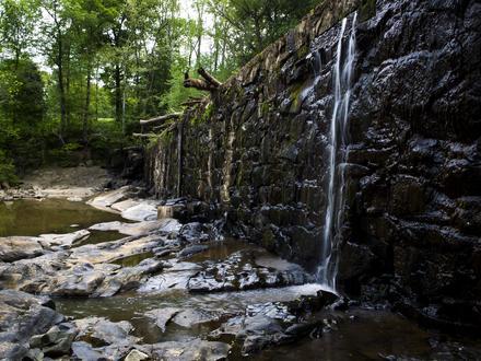 Ossipee Image