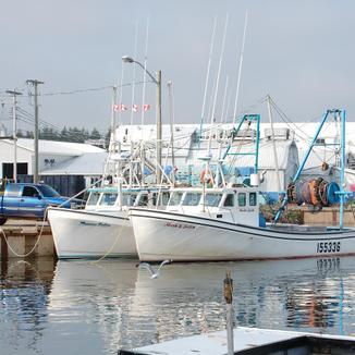 Murray Harbour Image