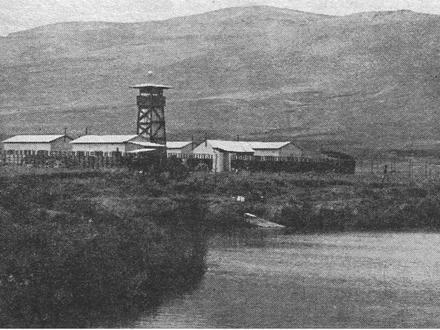 Nir-David Image