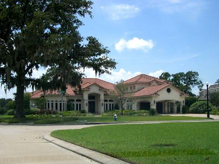Cypress Image