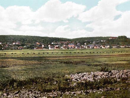 Ballenstedt Image