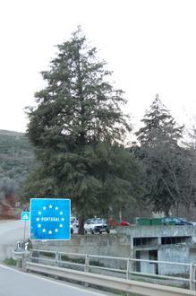 Quintanilha Image