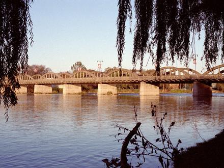 Canfield Image
