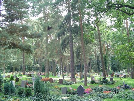 Falkenhagener Feld Image
