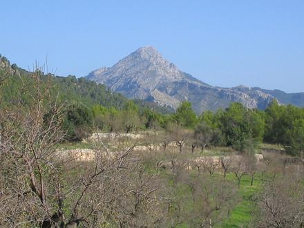 Imatge de Calvià Imatge de Calvià