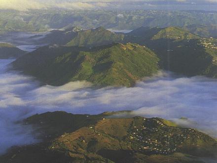 Cayey Image
