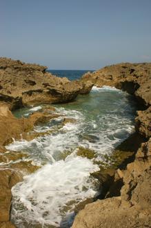 Manatí Image