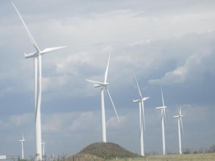 Wildorado Image