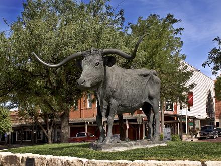 Dodge City Image